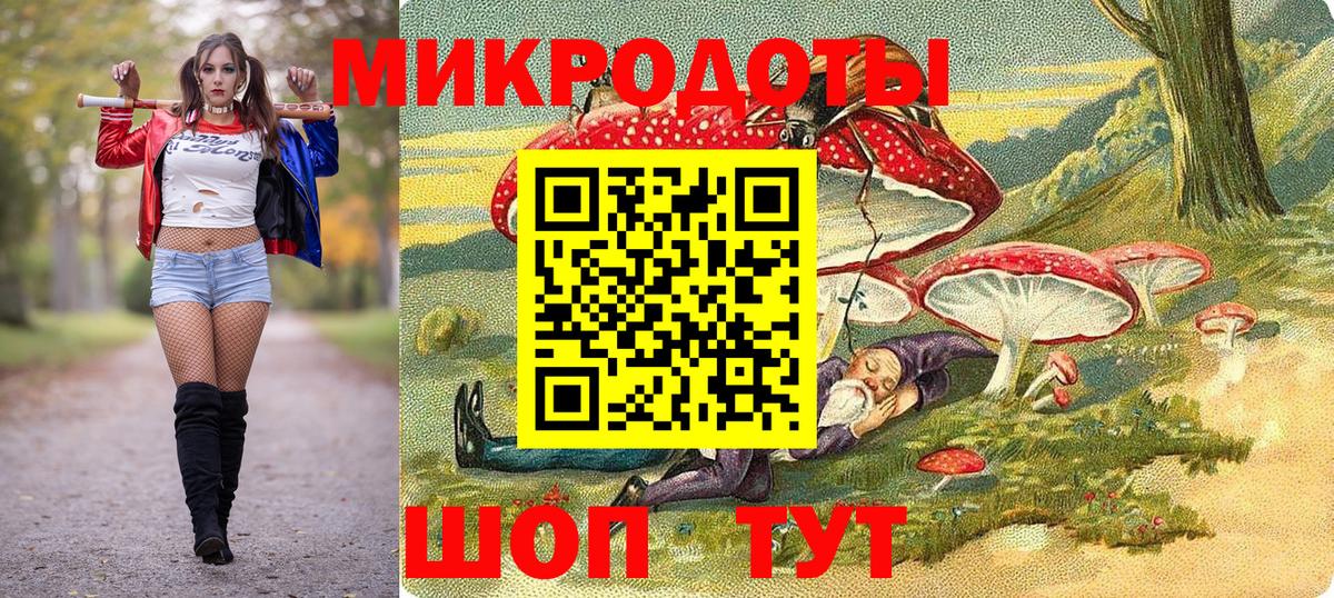 Псилоцибиновые грибы Psilocybe Черемхово