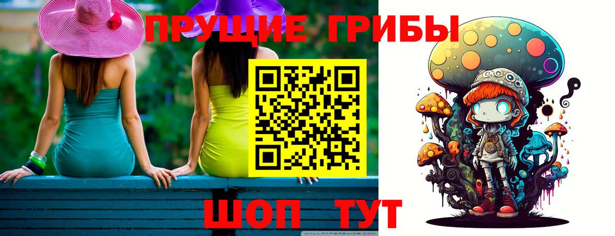 купить закладку  Вход с VPN  Черемхово  Псилоцибиновые грибы GOLDEN TEACHER 